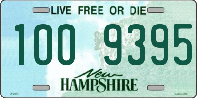 NH license plate 1009395