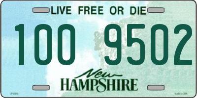 NH license plate 1009502