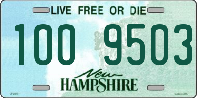 NH license plate 1009503
