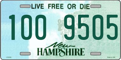 NH license plate 1009505