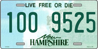 NH license plate 1009525