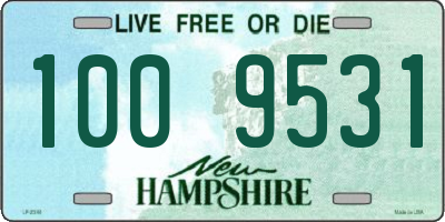 NH license plate 1009531