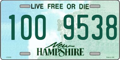 NH license plate 1009538