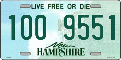 NH license plate 1009551