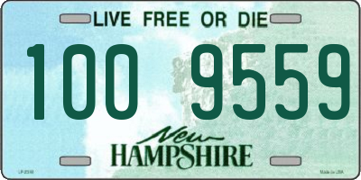 NH license plate 1009559