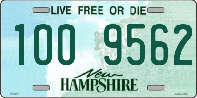 NH license plate 1009562