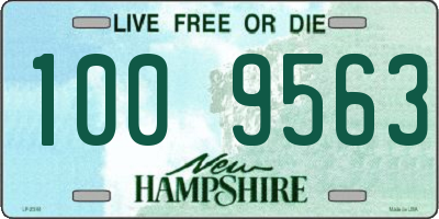 NH license plate 1009563