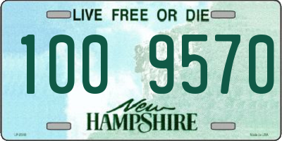 NH license plate 1009570