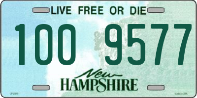 NH license plate 1009577