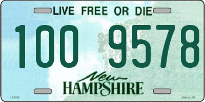 NH license plate 1009578