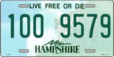 NH license plate 1009579