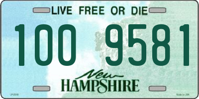 NH license plate 1009581