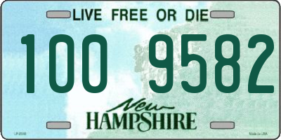 NH license plate 1009582