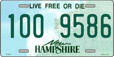 NH license plate 1009586