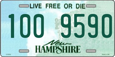 NH license plate 1009590