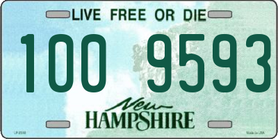 NH license plate 1009593