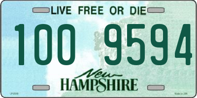 NH license plate 1009594