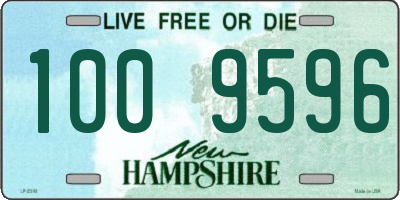 NH license plate 1009596