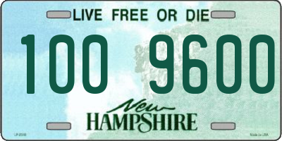 NH license plate 1009600