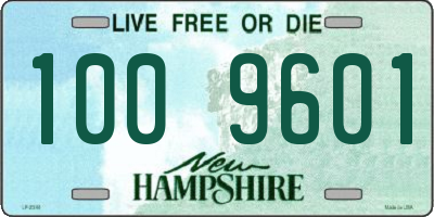 NH license plate 1009601