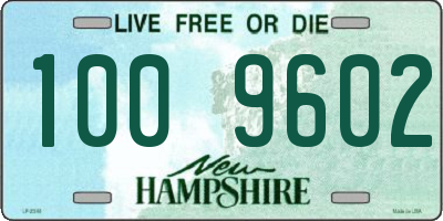 NH license plate 1009602