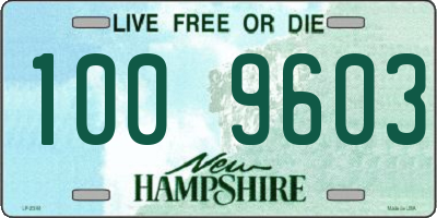 NH license plate 1009603