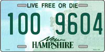 NH license plate 1009604