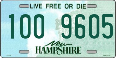 NH license plate 1009605