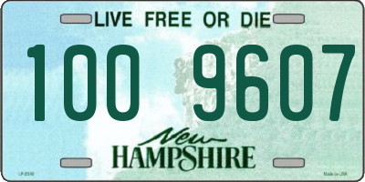NH license plate 1009607