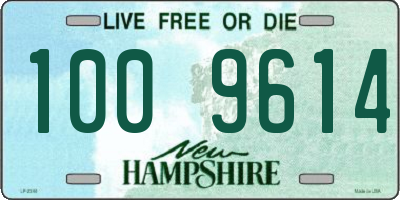 NH license plate 1009614