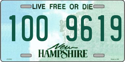 NH license plate 1009619