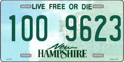 NH license plate 1009623