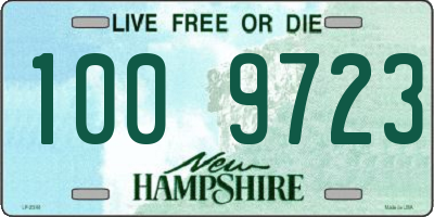 NH license plate 1009723