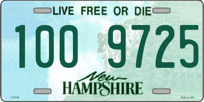 NH license plate 1009725