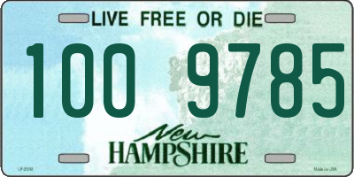 NH license plate 1009785