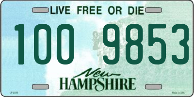 NH license plate 1009853