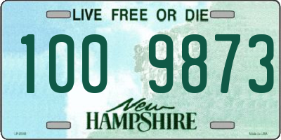 NH license plate 1009873