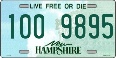 NH license plate 1009895