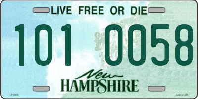 NH license plate 1010058