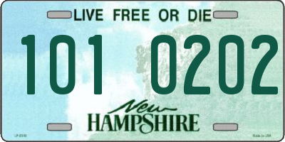 NH license plate 1010202