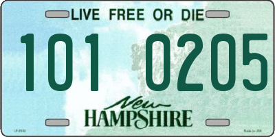 NH license plate 1010205