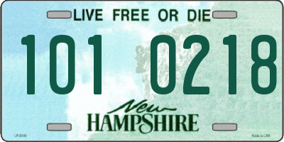 NH license plate 1010218