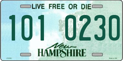 NH license plate 1010230