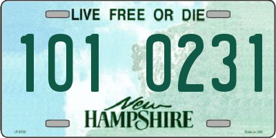 NH license plate 1010231