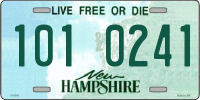 NH license plate 1010241