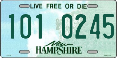 NH license plate 1010245