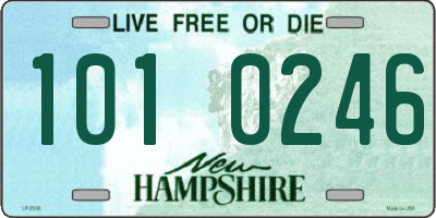 NH license plate 1010246