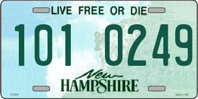 NH license plate 1010249