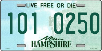 NH license plate 1010250