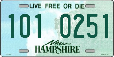 NH license plate 1010251